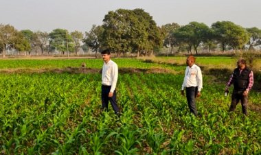 पचास साल बाद बदली खेती की तस्वीर