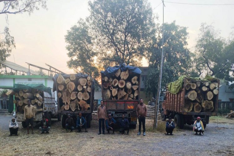 रायपुर : प्रतिबंधित काष्ठों का अवैध परिवहन पकड़ा गया, वन विभाग ने की जप्ती