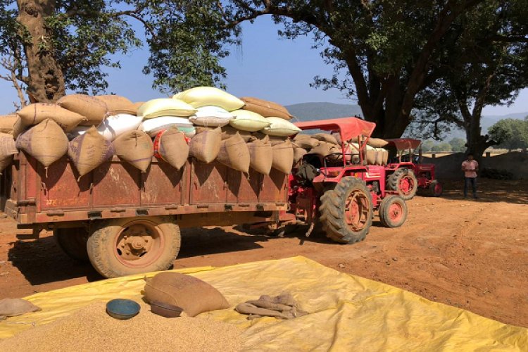 रायपुर : उपार्जन केंद्रों में धान खरीदी सुचारू रूप से जारी