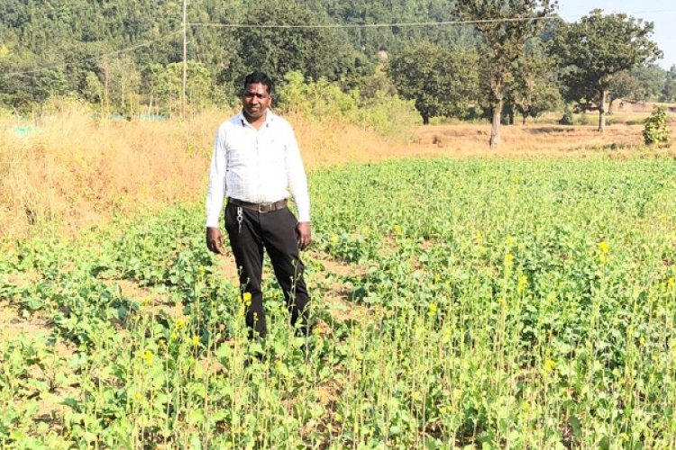 रायपुर : प्रधानमंत्री धन-धान्य कृषि योजना ने बदली किसानों की किस्मत