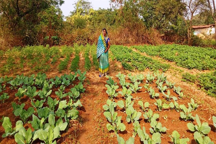 रायपुर : राष्ट्रीय ग्रामीण आजीविका मिशन ‘बिहान’ से बदली तकदीर, आत्मनिर्भरता की बनी मिसाल