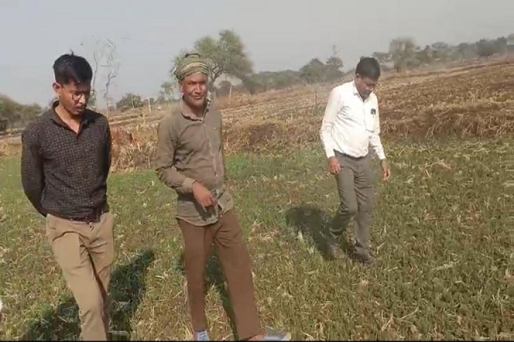 रायपुर : धान से हटकर समृद्धि की राह: जेवरा के किसान दिलीप सिन्हा ने दलहन-तिलहन से कमाए 25 लाख रुपये