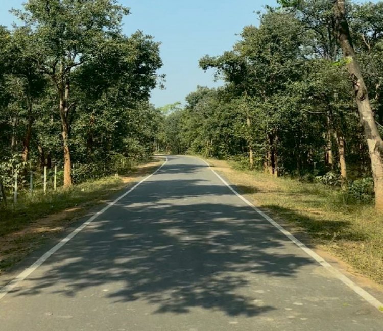 पीएम जनमन योजना से बदली कमार बस्ती की तस्वीर