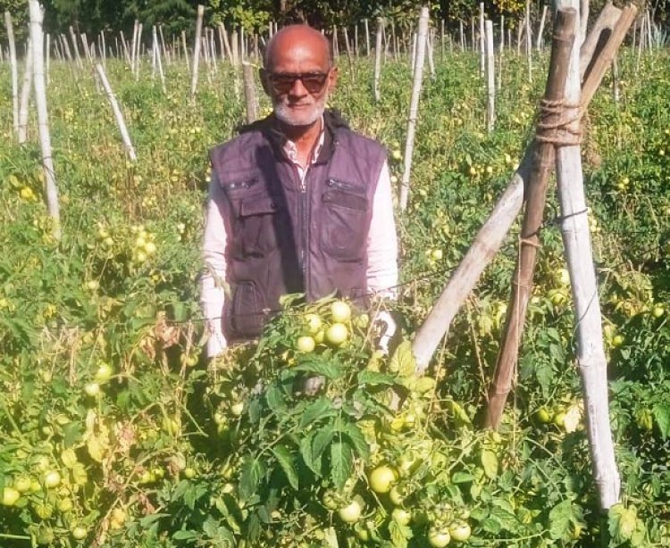 तकनीक सहयोग और मेहनत से बदली खेती की तस्वीर