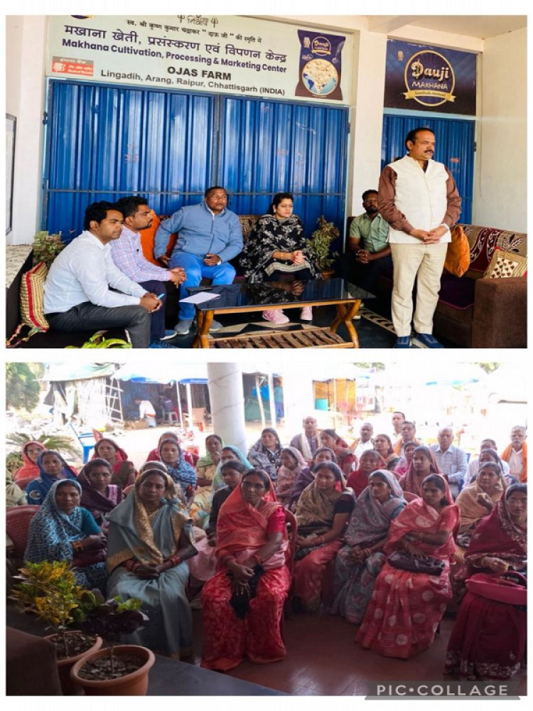 धान से आगे सोच : मखाना खेती से बदलेगी धमतरी की ग्रामीण महिलाओं की आर्थिक तस्वीर