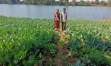 जैविक खेती की ओर किसानों का बढ़ता रुझान : प्राकृतिक खेती सेे कृषक दंपती को मिला लाभ