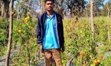 आधुनिक खेती से बदली तस्वीर