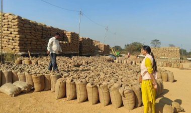 रायगढ़ जिले में 4.18 लाख टन से अधिक धान उपार्जित