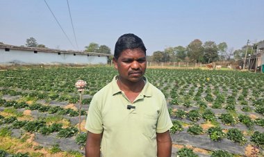 उद्यानिकी खेती से बदली किसान की आर्थिक तस्वीर