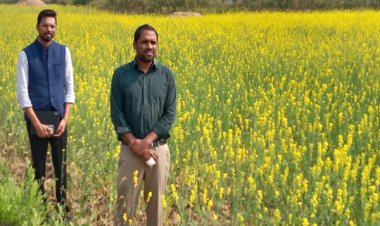 धान से आगे बढ़ा धमतरी: फसलचक्र परिवर्तन से जल संरक्षण और कृषि समृद्धि की नई कहानी