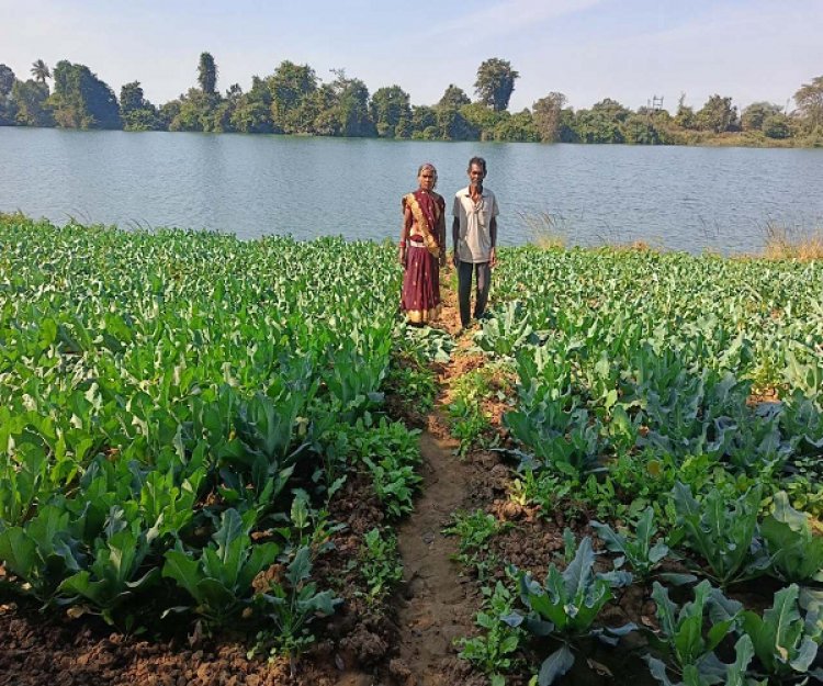 जैविक खेती की ओर किसानों का बढ़ता रुझान : प्राकृतिक खेती सेे कृषक दंपती को मिला लाभ