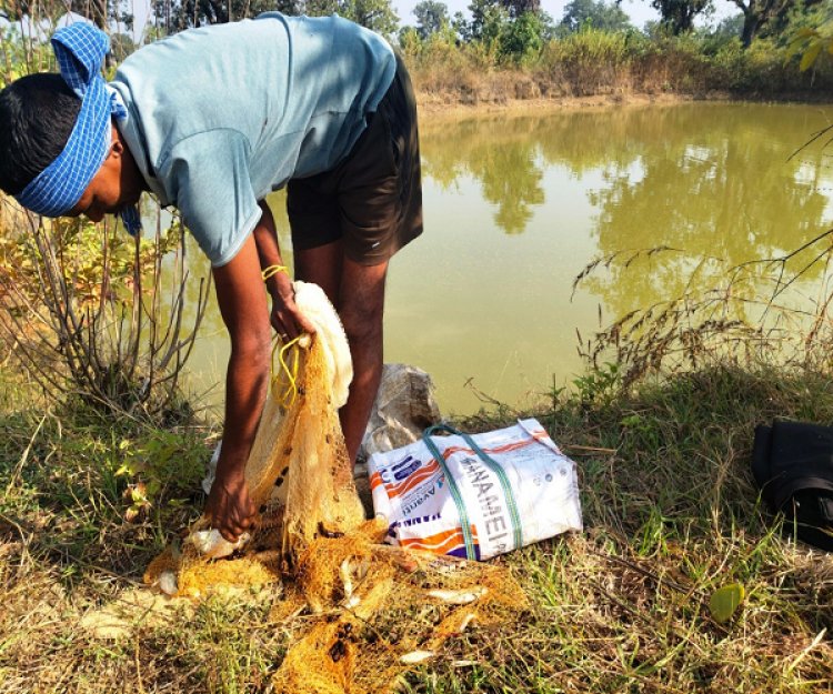 आजीविका डबरी : छोटे किसानों की आत्मनिर्भरता की नई राह