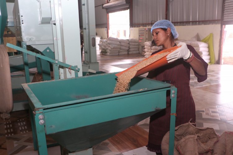 सशक्त मानसिकता से आत्मनिर्भरता की ओर- पोषण निर्माण में अहम भूमिका निभा रही हैं सूरजपुर की महिलाएं