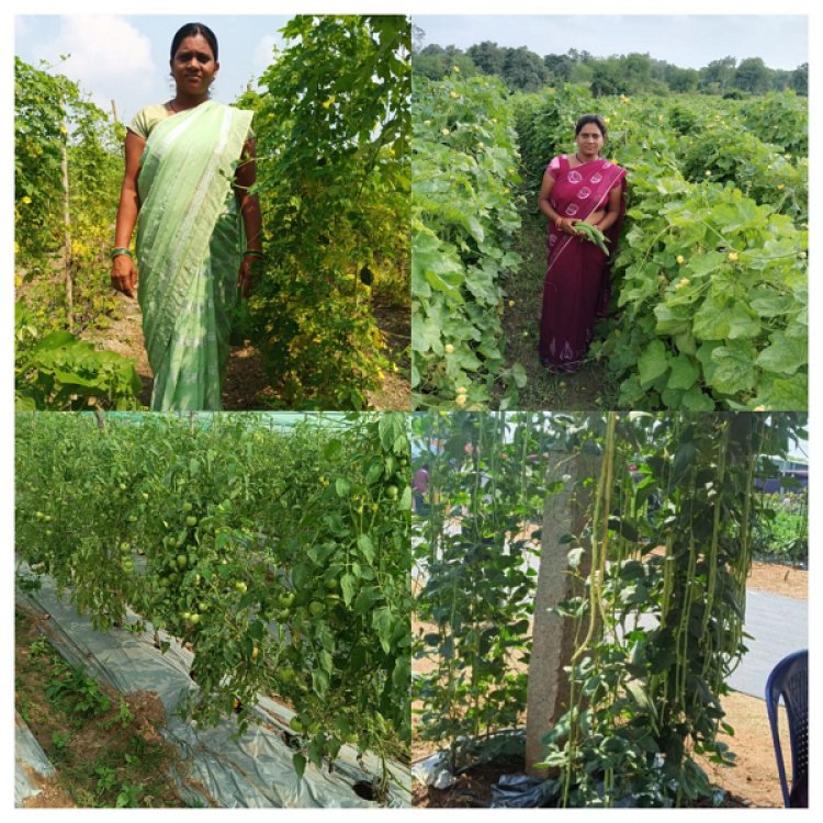 राष्ट्रीय ग्रामीण आजीविका मिशन: कर्ज के बोझ से मुक्त होकर आत्मनिर्भर बनी सुष्मिता जाटवर