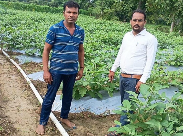 राष्ट्रीय कृषि विकास योजना से बदली किसान की किस्मत