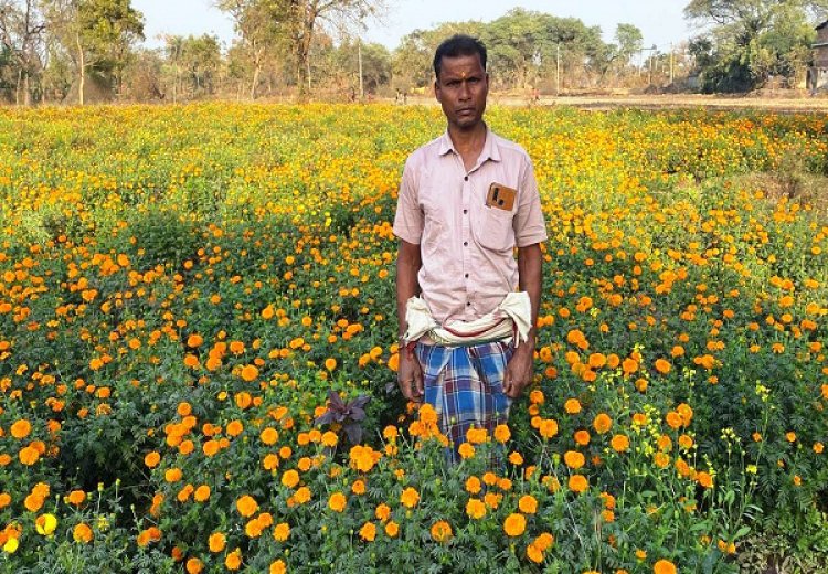 धान से गेंदा फूल तक का सफर- बरगांव के देवानंद निषाद ने एक एकड़ में कमाए ढाई लाख