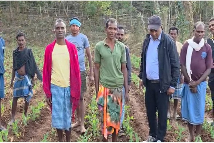 मटर की खेती से मिली नई दिशा