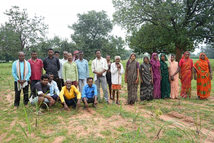 लेमनग्रास की खेती से बदल रही छोटे किसानों की किस्मत