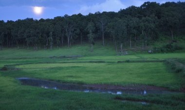 प्रकृति, संस्कृति और मनोरंजन का त्रिवेणी संगम : 13 फरवरी से सजेगा तीन दिवसीय ’मैनपाट महोत्सव’ का भव्य मंच