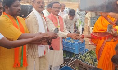 मुख्यमंत्री श्री साय के जन्मदिवस पर पादप बोर्ड द्वारा 2100 औषधीय पौधों का वितरण