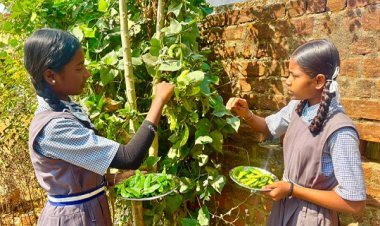बच्चों को मिल रहा पौष्टिक आहार विद्यालय की बगिया से