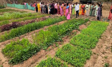 बस्तर के नवाचार देख उत्साहित हुईं बिलासपुर की दीदियाँ