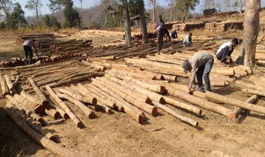 वन विकास निगम में ‘डिजिटल क्रांति‘ और ‘रोजगार संगम‘ का सफल मॉडल