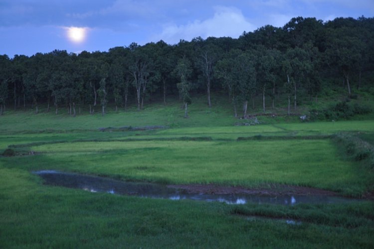 प्रकृति, संस्कृति और मनोरंजन का त्रिवेणी संगम : 13 फरवरी से सजेगा तीन दिवसीय ’मैनपाट महोत्सव’ का भव्य मंच