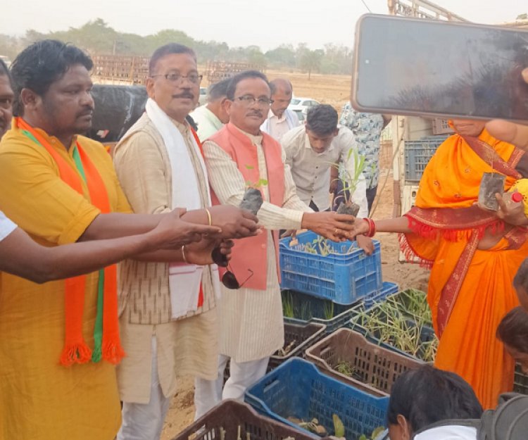 मुख्यमंत्री श्री साय के जन्मदिवस पर पादप बोर्ड द्वारा 2100 औषधीय पौधों का वितरण