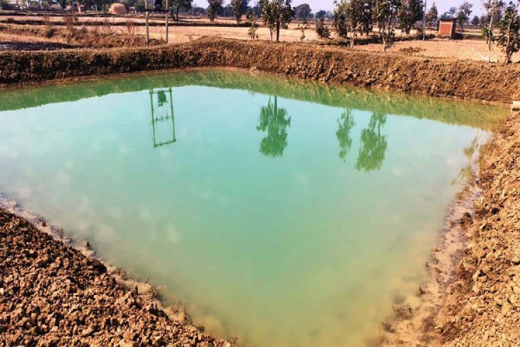 राष्ट्रीय ग्रामीण रोजगार गारंटी योजना: मजबूत हुई आजीविका की राह