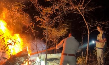 होली के दिन भी वनों की सुरक्षा में जुटे रहे वनकर्मी