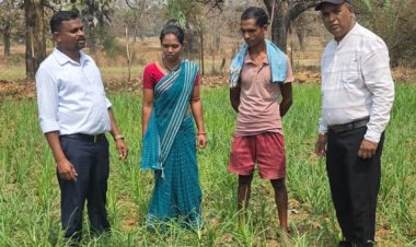 मिलेट्स की खेती से बढ़ रही किसानों की आय