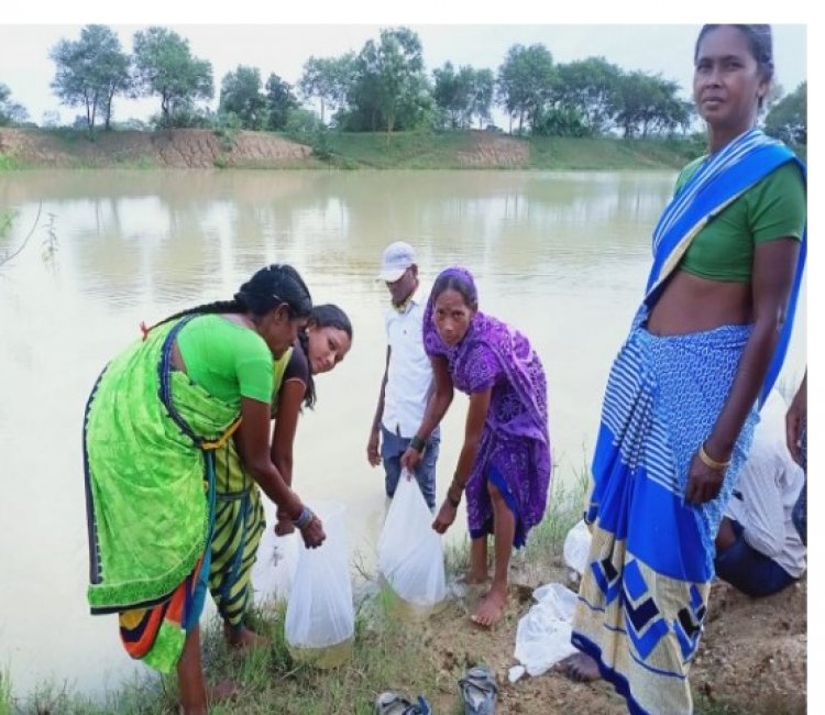 मत्स्य पालन विभाग द्वारा दिए गए तकनीकी ज्ञान, प्रशिक्षण और योजनाओं से मिली सफलता