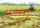 हरी खाद- खेती में बढ़ेगा उत्पादन, मिट्टी की सेहत होगी बेहतर