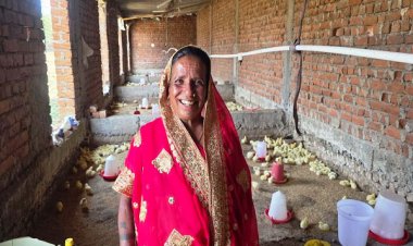 मजदूरी छोड़ ‘लखपति दीदी’ बनीं मति बाई, मुर्गी पालन से संवर रहा परिवार का भविष्य