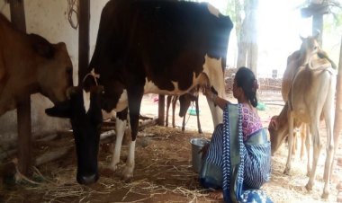 बिहान से बदली जिंदगी: गुंजवती पेगड़ बनीं “लखपति दीदी”