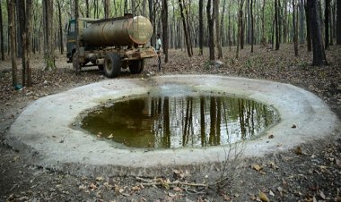 भीषण गर्मी में वन्यजीवों के लिए 'संजीवनी' बना बारनवापारा