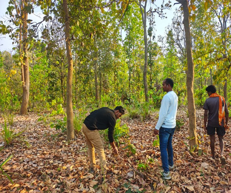 रायपुर : बाघ गणना का कार्य सफलतापूर्वक संपन्न