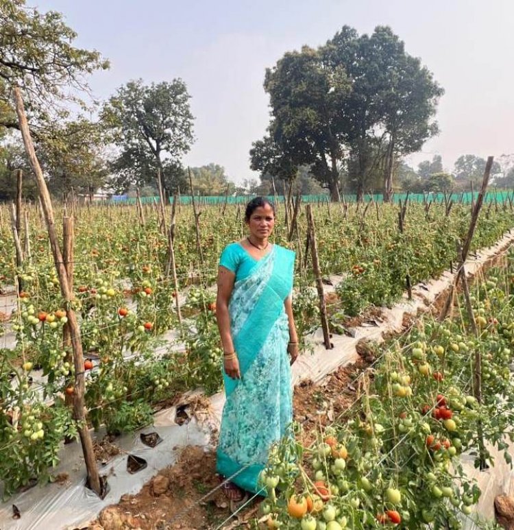 राष्ट्रीय ग्रामीण आजीविका मिशन ‘बिहान’ से बदली तस्वीर