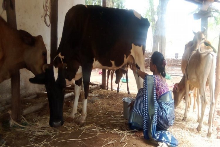 बिहान से बदली जिंदगी: गुंजवती पेगड़ बनीं “लखपति दीदी”