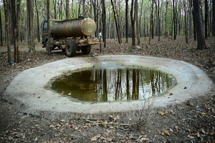 भीषण गर्मी में वन्यजीवों के लिए 'संजीवनी' बना बारनवापारा