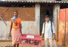 पशुपालन विभाग के शिविर से पहाड़ी कोरवा परिवारों को मिली आजीविका की नई राह