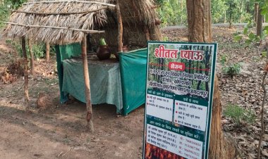 वन विकास निगम की अनूठी पहलरू सार्वजनिक प्याऊ से  प्यास भी बुझा रहे, जंगलों को आग से भी बचा रहे