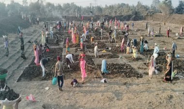 जल संरक्षण के साथ मिल रहा बंपर रोजगार, मोर गांव, मोर तरिया' अभियान से संवर रहे ग्रामीण क्षेत्र