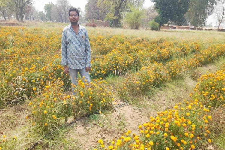 गेंदा की खेती से बढ़ी आय और बनी नई पहचान