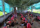 मजदूरी करने वाली रानी यादव बनीं गांव की सफल महिला व्यवसायी
