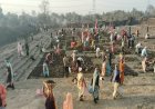विशेष लेख : महात्मा गांधी नरेगा से जल संरक्षण का महाअभियान, रोजगार और आजीविका को मिली नई ताकत