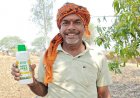 नैनो उर्वरक से बदली किसान रेशम लाल की किस्मत, कम लागत में कमा रहे अच्छा मुनाफा