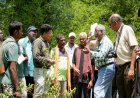 देवपुर में औषधीय वनस्पतियों पर एक दिवसीय बॉटनाइजेशन कार्यशाला