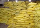 सारंगगढ़ में खरीफ सीजन के लिए खाद-बीज का भरपूर स्टॉक